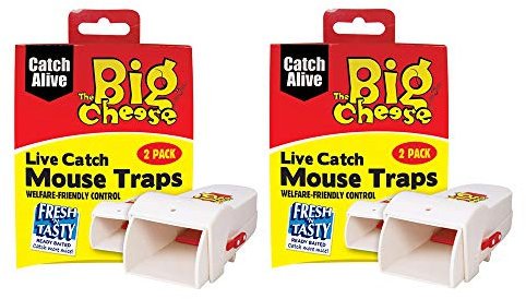 The Big Cheese AMZ155 Live Trap Mouse Pack of 4 Catch, Multicolour