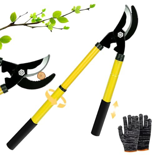 Sécateur télescopique à enclume 42-61 cm, élagueur dériveur, jardinage, sécateur branches poignées caoutchouc antidérapantes, pour couper bois frais jusqu'à diamètre de