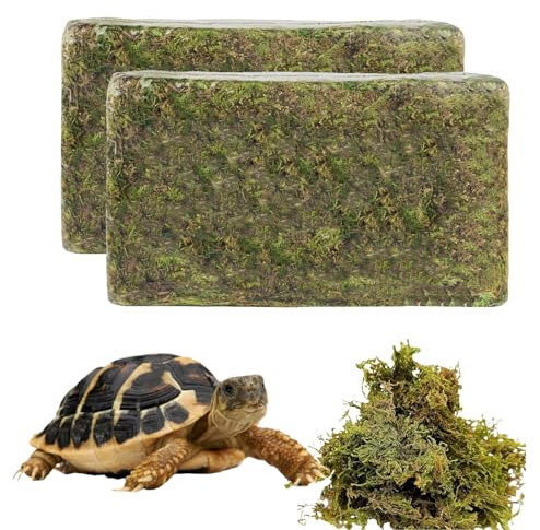 QINGYIWL 800g Muschio per Terrario, Muschio Vivo, Sfagno per Piante, Terrari per Rettili e Anfibi