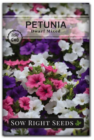 Sow Right Seeds - Dwarf Mixed Petunia Seeds to Plant - Full instructions for Planting and Growing a Flower Garden - Non-GMO Heirloom Seeds - Annual Hanging Basket Flower - Wonderful Gardening Gift (1)