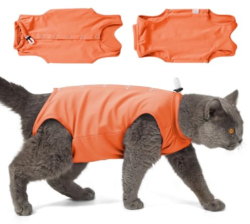 Poiinvc Combinaison de récupération pour Chat, Bodys pour Traitement médical, chirurgicales, Combinaisons, Body pour Chaton après opération, Combinaison, opérations, Combinaison de (Orange, M)