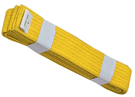 IBEX Kids Adults Martial Arts Taekwondo Karate Belts, 6-300cm, Yellow