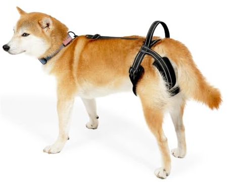 Imbracatura per Cani, Pettorina di Sollevamento per Cane Riflettente con Maniglia e Cinghie Regolabili, Supporto per Cani Anziani, Malati, Feriti, Disabili