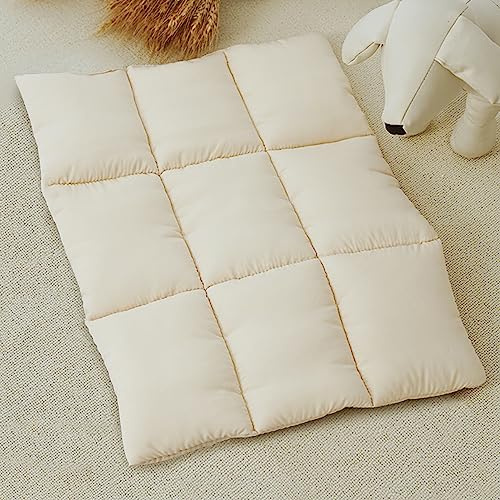 Pets Accessories for pet Bag, Pet Dog Bed, Dog Sleeping Mat, Breathable Warm Pet Beds Cushion for Small Dogs Cat(Grey, Cushion) (Beige)