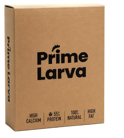 Larvas de Black Soldier Fly Deshidratadas para Gallinas – 1kg – Alto en Calcio y Proteína – Snack Natural y Sostenible – Mejora Plumas y Salud General