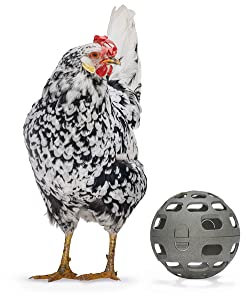 Beeztees Snackball, Hühnerzubehör, Futterspender für Hühner, Snackball 15 cm grau