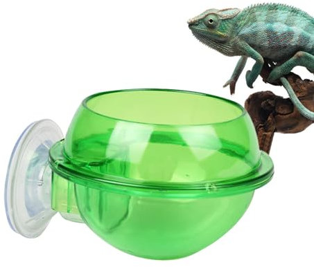 Gamelle caméléon - Récipient pour nourriture vivante anti-échappement - Translucide - Pour reptiles - Gamelle d'eau pour les habitants du terrarium