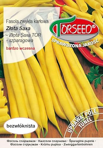 Verdica Goldene Saxa Bohnensamen Phaseolus vulgaris – Frühe Reife, Faserfreie Gelbe Hülsen, Kompakter Wuchs, Perfekt zum Einfrieren & Aufbewahren (30 Gramm)