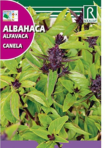 Semilla Albahaca Canela