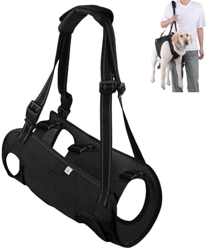 Escalier réglable pour chien, aide au transport, harnais de levage pour pattes arrière avec poignées, harnais de transport pour chien, harnais portable pour chien, pour personnes handicapées, blessés