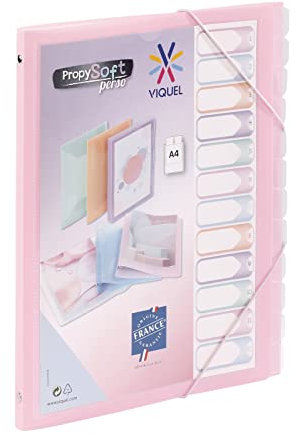 Viquel - Trieur 12 compartiments A4 personnalisable Propysoft - Fermeture élastique - Rose translucide