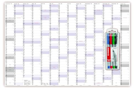 XXXL Wandkalender Special A0 2026 nass abwischbar inkl. Stifteset (Format 120 x 80cm) Jahresplaner Wandplaner gerollt mit extra großen Tageskästchen