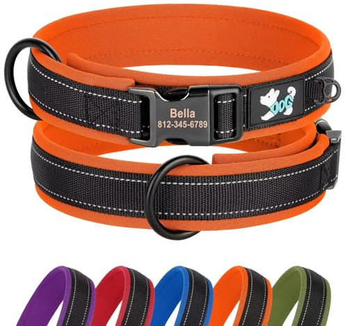 Didog Personalized Nylon Dog Collar, Soft Neoprene Padded Custom Dog Collars, Reflective Dog Collar with Engraved Name Plate for Small Medium Large Dogs, Orange, M