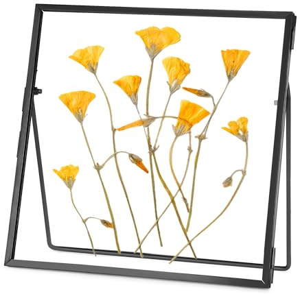REDHUGO Glasram för pressade blommor handgjorda, dubbel glasram, bordsram, blompress fotoram enkel metall geometrisk flytande ram glas bildram, fyrkantig
