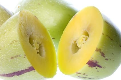 Pepino Birnenmelone Solanum muricatum 10 Samen