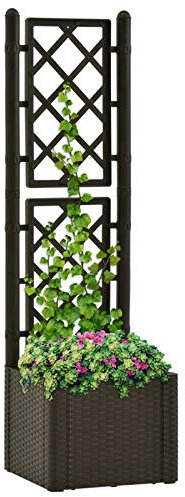 Camerina Arriate con Enrejado y Sistema de riego automático Moca Jardineras Grandes Exterior