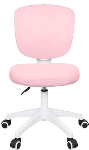 Kids Desk Chair Height Adjustable, Children Study Chairs Swivel with Brake Casters, Soft Cushion, Lumbar Support, Armless Child Computer Chairs for School Home Girls Boys