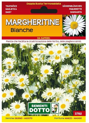 Sicignano | Semi Margheritine Bianche, Pianta Erbacea Perenne da Giardino, Busta Extra - 1 Confezione da 0.21g, Fiori per Prati, Fioritura da Marzo a Maggio
