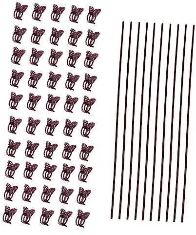 BESPORTBLE 10pièces Lot de Supports pour Plantes Phalaenopsis avec Pinces De Fixation pour Orchidées Et Plantes Grimpantes