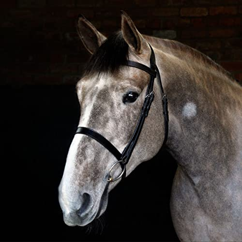 Harry Hall Cottage Craft Cavesson Bridle Black | Anatomical Horse Bridles | Cavesson Noseband For Cob | Leather Tack