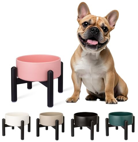 Comedero Perro Elevado de Cerámica - Cuenco para Perros Pequeños y Medianos - Plato Comida con Soporte de Acero Inoxidable - 850 ml - Rosa