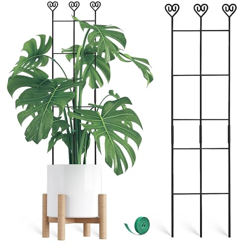 Coomin 2 Pack 32in Monstera Plant Support Stakes for Indoor Plants, Stackable Garden Trellis for Climbing Plants Outdoor, Metal Plant Climber Support for Pothos Philodendron Vine