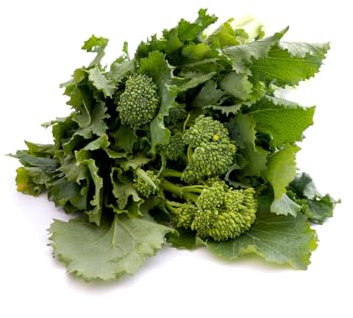 Viridis Hortus - Broccoli Raab (Cime di rapa) - 3,000 (4.02g's) Vegetable Seeds - Broccoli Rapini