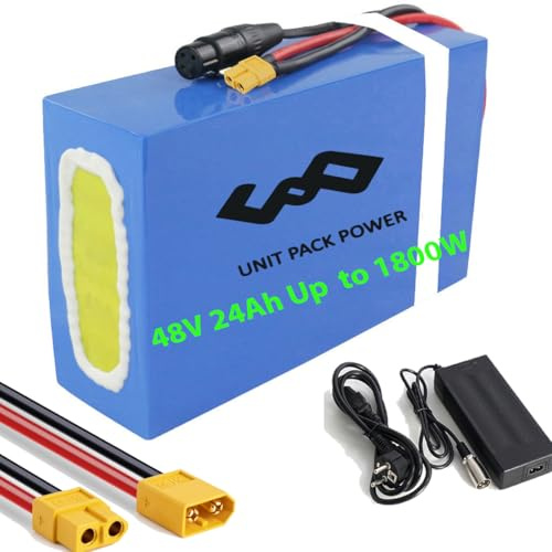 Batterie 48V 24Ah- Batterie de vélo électrique pour 1000W 1200W 1500W1800W 2000W E- Scooter Ebike Motor - Litio Batterie 48volt kit de Conversion ebike Batterie