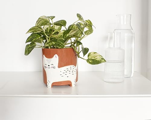 Winkee - Tierischer Blumentopf Katze | Keramik Blumen-Vase für kreative Deko - modern Blumenvase | Hochwertige Dekoration | Geschenk zum Muttertag, Geburtstag, Weihnachten