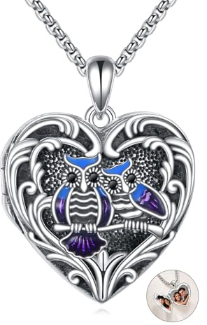 DAYLINLOVE Médaillon en forme de cœur en argent sterling 925 pouvant contenir 1 à 2 photos pour garder quelqu'un près de vous, Argent sterling, Pas de gemme