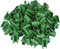 50 Stück Garten Spalier, Pflanzenstiele Stützenclips, Blumenstäbe Pflanzen Verbinder Rankhilfen Scharnier für Tomaten Käfig (8mm Kreuz Clips)