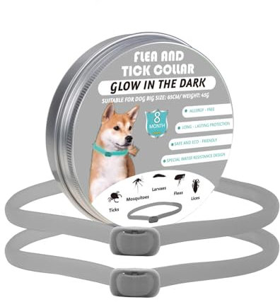Zeckenhalsband für Hunde Leuchtendes Präventionshalsband gegen Parasiten auf Jede Größe verstellbar 2 STK Einstellbares Floh und Zeckenschutz mit bis zu 8-Monatigen Schutz (Grey)