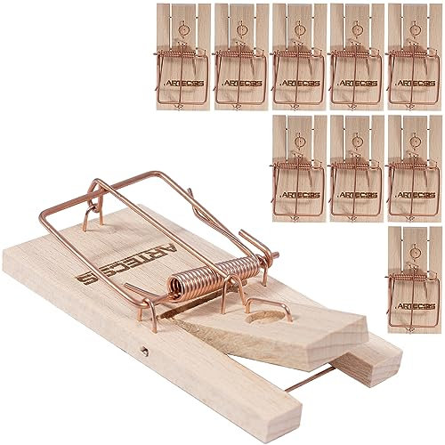 Piège À Souris - Lot de 10 Tapette À Souris en Bois Réutilisable - Taille 9,5 x 5 x 1,5 cm, Poids : 30 grammes