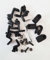 SKS Infinity Mudguard Rear Ersatzteile Befestigung