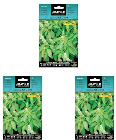 Semillas Batlle Albahaca Lemon Citron (Paquete de 3)