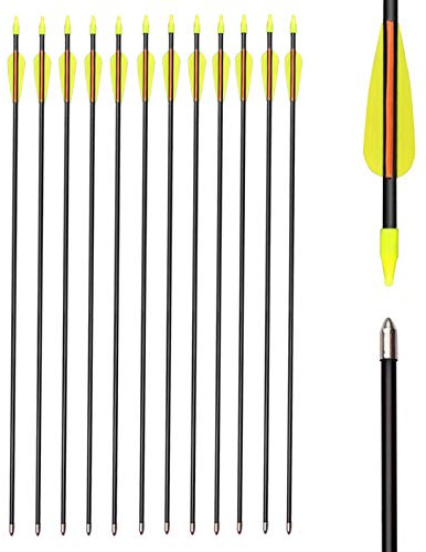 Flèches en Fibre de Verre Flèches d'entraînement 28 Pouces avec Tube de Support de flèche Arcs Classiques en Verre de sécurité adaptés aux Jeunes Enfants Femme débutant