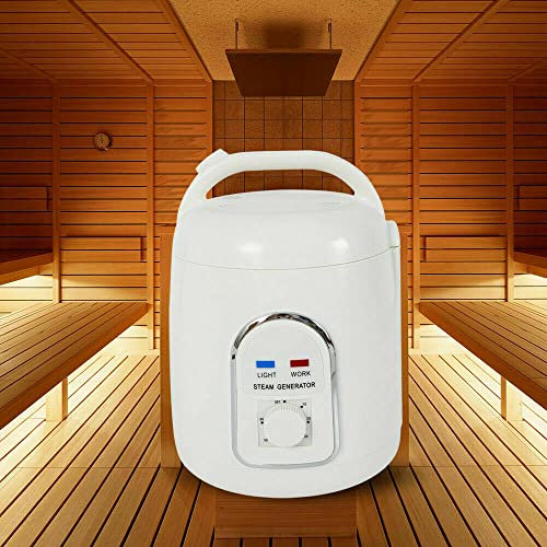 SHZICMY Generatore di vapore per sauna, generatore di vapore portatile, per doccia, bagno di vapore, sauna a vapore, generatore di vapore con timer 900 W, 220 V