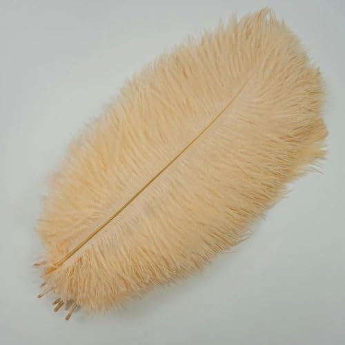 WRJLIN 10Pcs/Lot Ostrich Feathers for Crafts White Black Feather Decor Table Centerpieces Jewelry Handicrafts Decoration-Champagne-35-40cm 14-16inch