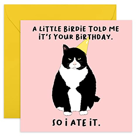 Central 23 - Humorous Birthday Card - Happy Birthday for Friends – Funny Design – Cat Birthday Card – Comes with Fun Stickers