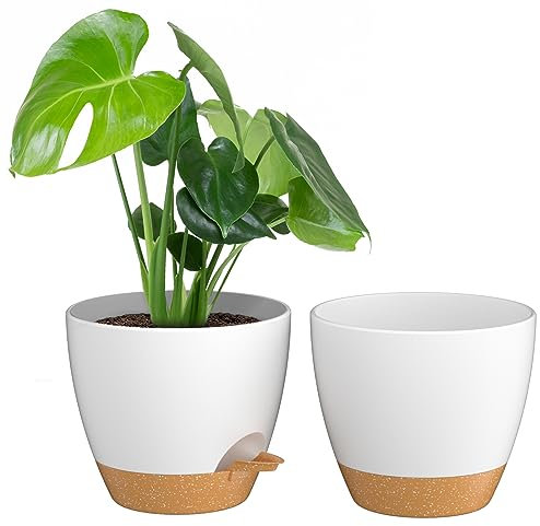 ZMTECH 25 cm Pflanztöpfe Mit Bewässerungslippe - Selbstbewässernd Mit Abflusslöchern und Herausnehmbarem Untersetzer - Kunststoff für Innen- und Außenbereich (Weiß, 2er-Set)
