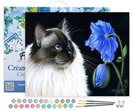 Figured'Art Peinture par Numéro Adulte avec Cadre Face à face floral - Activité Manuelle Kit de Loisir Créatif DIY Numéro d'Art Complet - 40x50cm toile tendue sur châssis