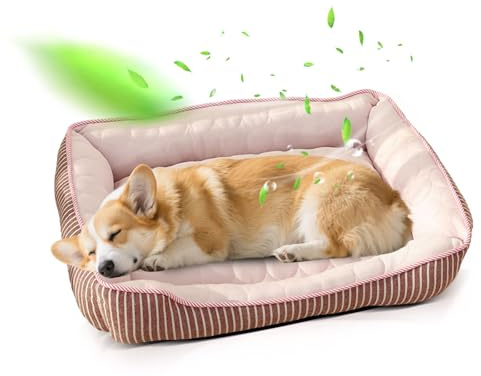 PETCUTE Ortopedisk hundsäng, bäddsoffa för husdjur, mjuk stoppning, tvättbar, hundmadrass med upphöjda kanter med halkfri botten, uppfriskande, lämplig för sommar(rosa, L)