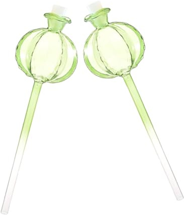 TINEASUR 2piezas Globos De Riego Automático para De Esferas De Agua De para Jardín y para Cactus y De Interior Mantiene La y El Cuidado
