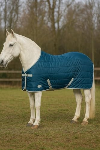 Horse Masters Quilted Stable Horse Rug 100g No Neck | Lightweight Stable Blanket for Horses | Breathable, Warm & Comfortable | Durable Equestrian Horse Rug for Winter & Cold Weather