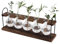 Hyindoor Progatation Station,Desktop Retro Plant Terrarium Bulb Vase with Wooden Stand for Hydroponics Plants Home Garden Wedding Décor