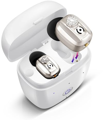 Britzgo VHP-602 - Dispositif Portable avec Boîtier de Charge USB, Autonomie 15H, Argent (Double)