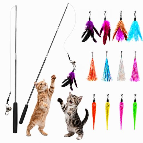 Feung gou Retractable Cat Teaser Wand, Fishing Toy for Indoor Cats Kittens