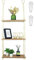 alma home Wandregal Holz Hängeregal - Makramee Regal Wand mit Haken ohne Bohren als Boho Wanddeko Wohnzimmer, Schweberegal, Pflanzenregal, Bücherregal oder Badezimmer Organizer