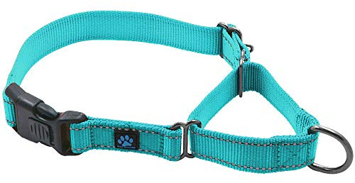 Max and Neo Nylon Martingale Collar - We Donate to a Dog Rescue for Every Collar Sold (Large, Teal)