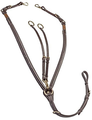 Sunride Vorderzeug Windsor aus Echtleder mit Martingal für Pferde - elastisch, verstellbar (Pony, braun)